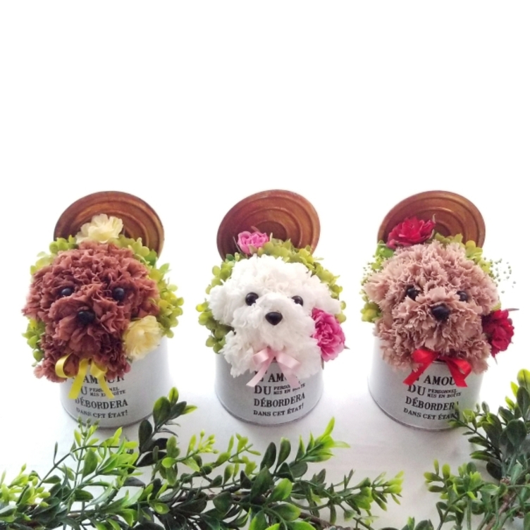 送料込み／花の犬【ミニ・淡い茶】プリザーブドフラワー カーネーション ペット 犬 花 | TanoMake(タノメイク) |  欲しいものが頼めるオーダーメイド特化型オンラインマーケット