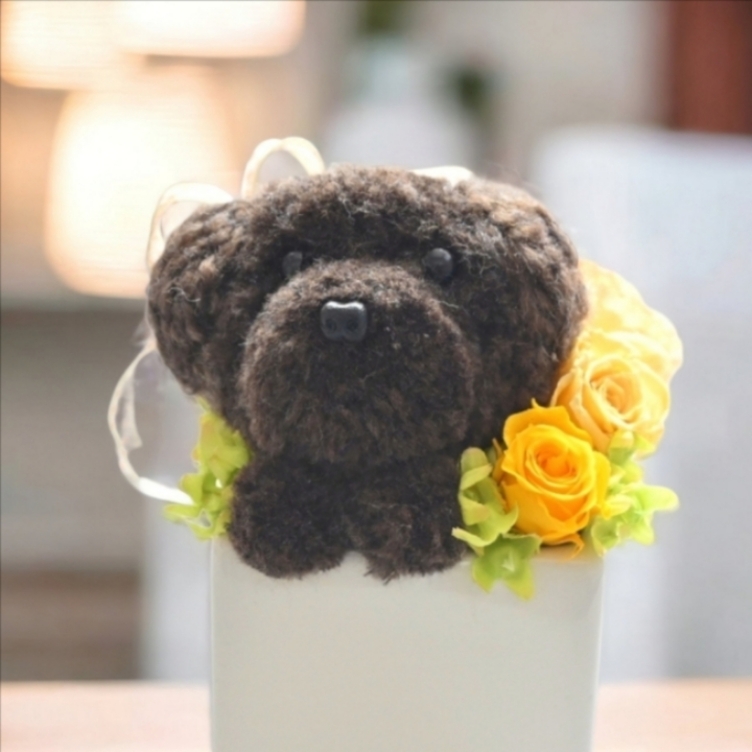 送料込み／もこペット【犬・コーヒー】プリザーブドフラワー カーネーション ペット 犬 花 フラワーギフト