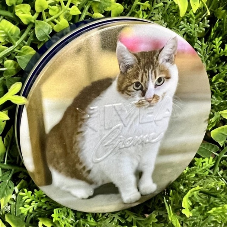 写真を送るだけでニベア青缶のフタにフォトプリント 卒園✨卒業