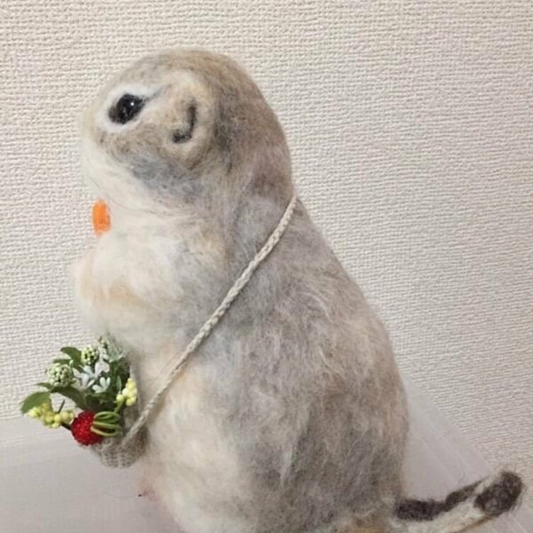 受注制作☆羊毛フェルトのリチャードソンジリス　リアルサイズ