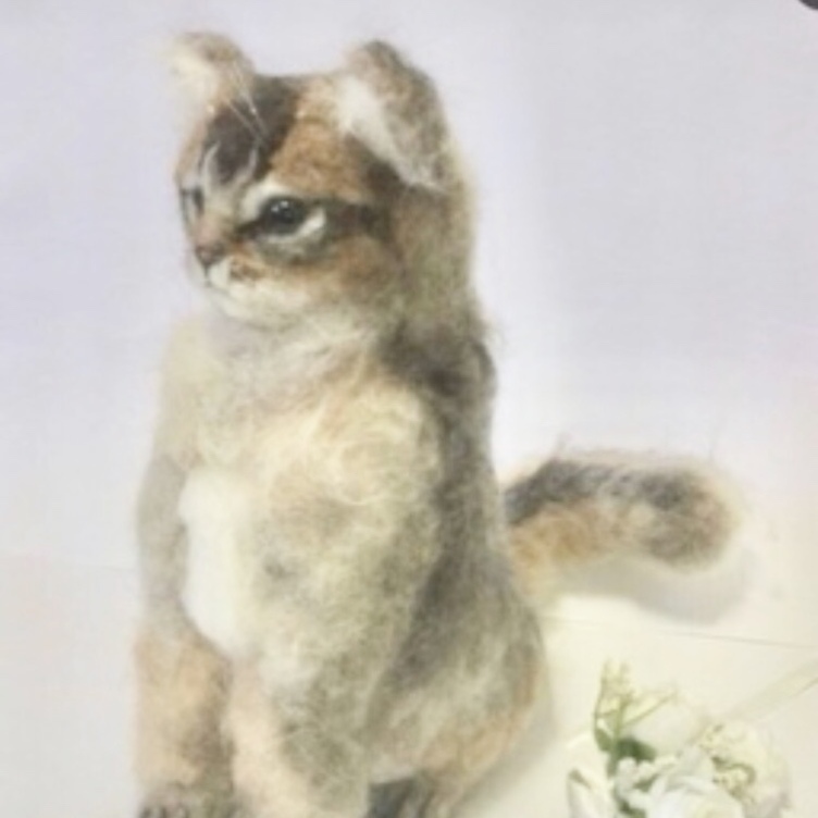 オーダーメイド☆羊毛フェルトの猫　ソマリルディ子猫