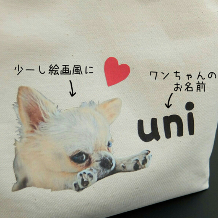 送料無料 犬 小型犬レッド 超小型犬 散歩用 コットン100 キャンバス お出掛け