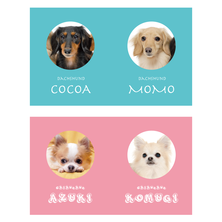 【両面100枚 2匹用】 犬　猫　ペット　名刺　カード　オーダーメイド　オリジナル　うちの子　親バカ　グッズ