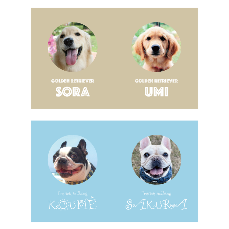 【両面100枚 2匹用】 犬　猫　ペット　名刺　カード　オーダーメイド　オリジナル　うちの子　親バカ　グッズ