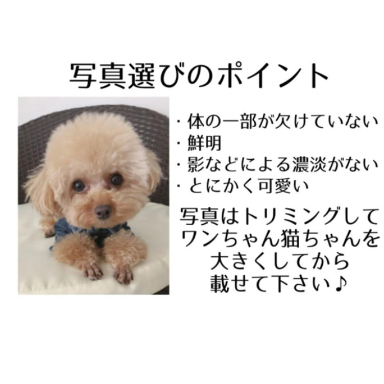 うちの子トートバッグ 2way お散歩バッグ ショルダーバッグ 犬 うちの子トートバッグ 2way お散歩バッグ ショルダーバッグ 犬