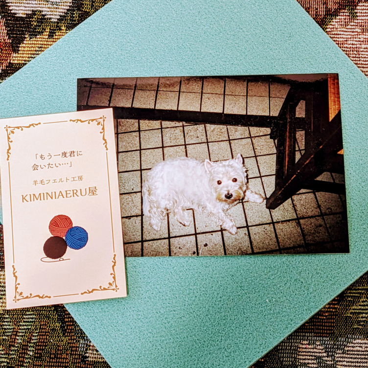 オーダー❵もうずっと一緒♥️羊毛フェルトで蘇る愛犬＆愛猫の姿