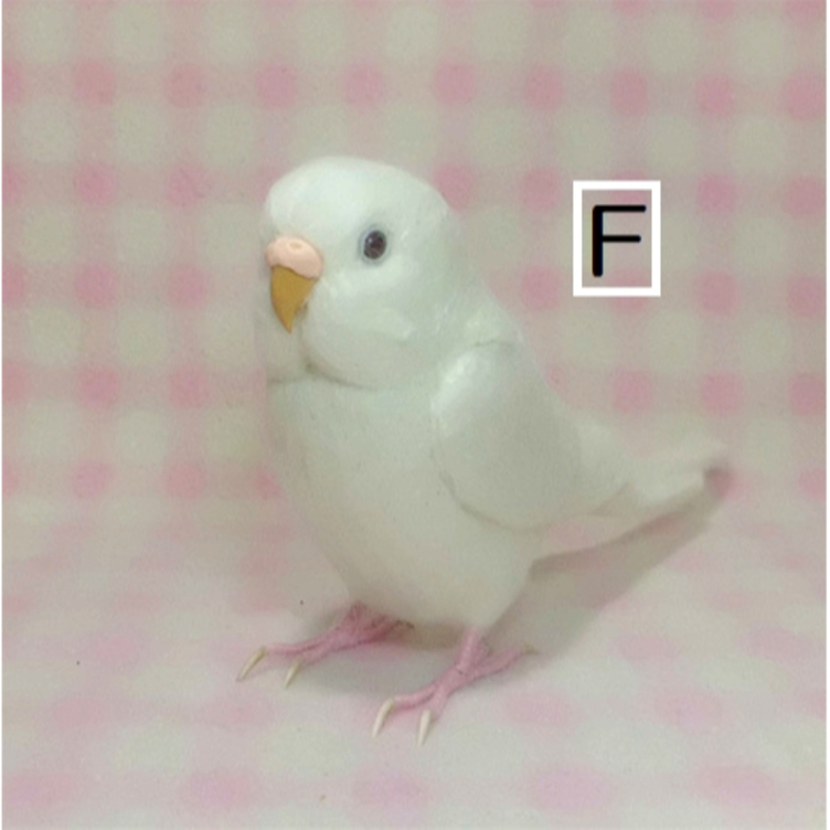 リアルサイズ♪ セキセイインコ 羊毛フェルト☆羊毛インコ☆羊毛フィギュア☆ 🍀 うちの子オーダーお気軽にお問い合わせください。 |  TanoMake(タノメイク) | 欲しいものが頼めるオーダーメイド特化型オンラインマーケット