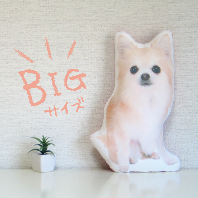 ビッグサイズ 犬 猫 ペット ダックス クッション ぬいぐるみ メモリアル プレゼント オーダーメイド 画像 写真 名前 フサフサ | TanoMake(タノメイク) | 欲しいものが頼めるオーダーメイド特化型オンラインマーケット ビッグサイズ 犬 猫 ペット ダックス クッション ぬいぐるみ メモリアル プレゼント オーダーメイド 画像 写真 名前 フサフサ | TanoMake(タノメイク) | 欲しいものが頼めるオーダーメイド特化型オンラインマーケット