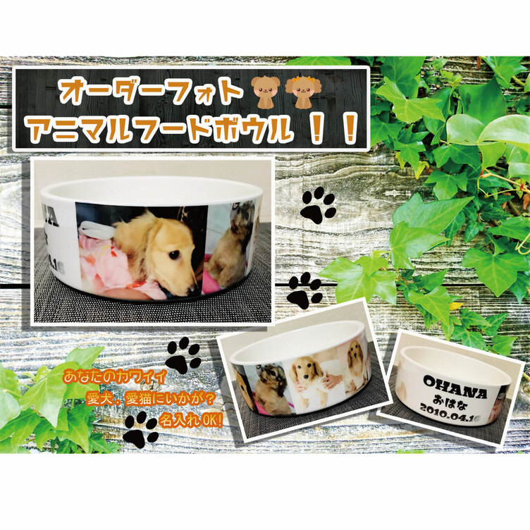 サーフボード 型 犬 猫 ペット用 フード テーブル ☆オーダー