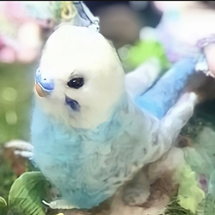 T・Y様専用☆羊毛フェルトのジャンボセキセイインコ